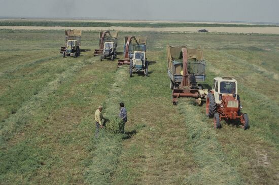 Labor Plowman collective farm in Kazakh SSR
