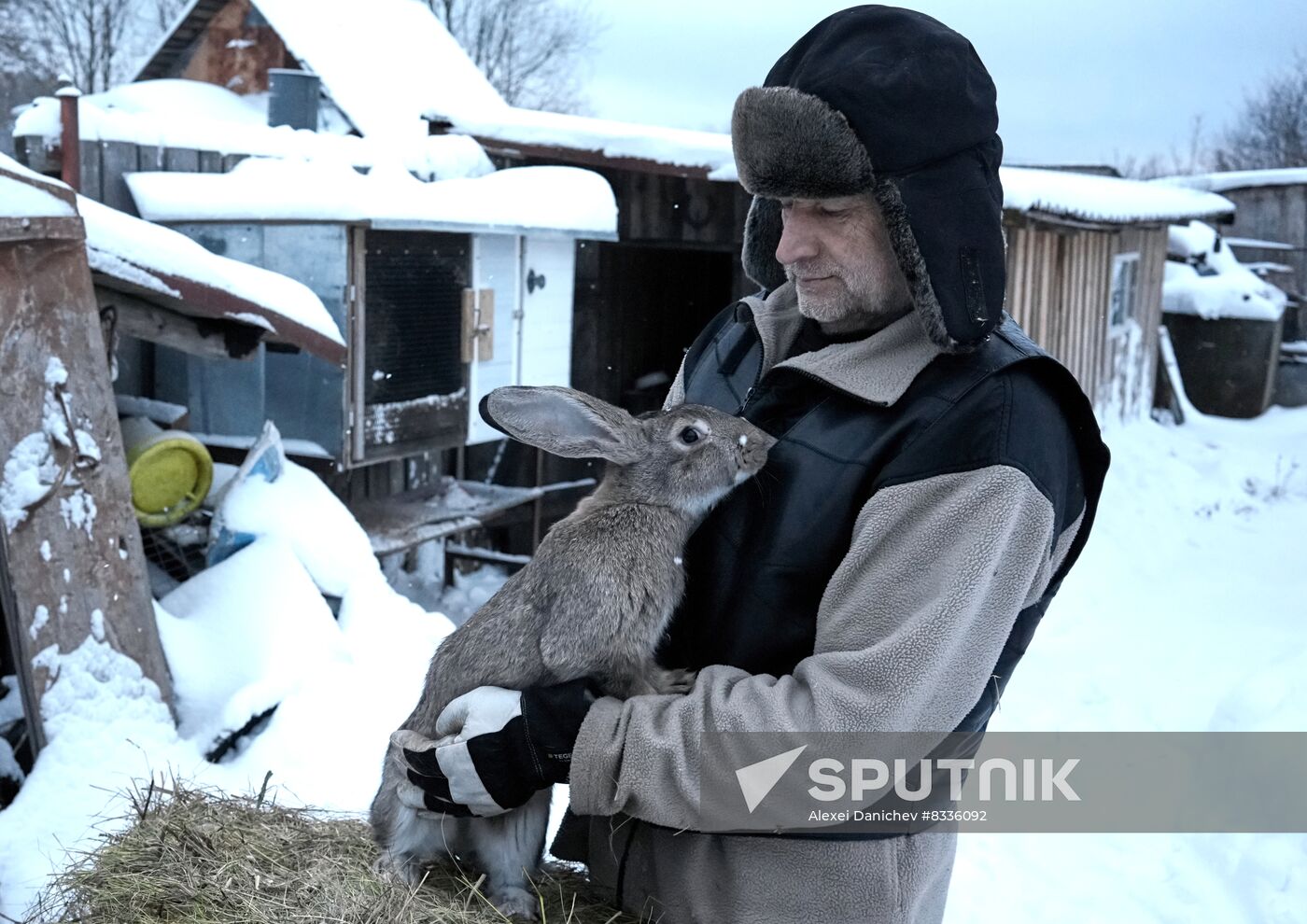 Russia Rabbit Breeding