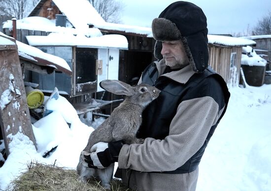 Russia Rabbit Breeding