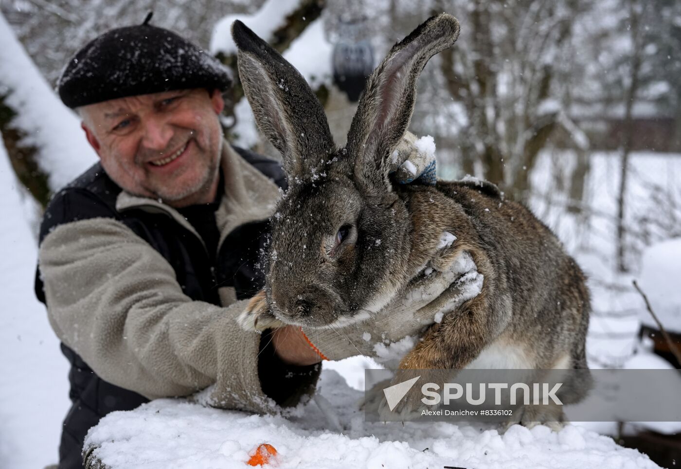 Russia Rabbit Breeding