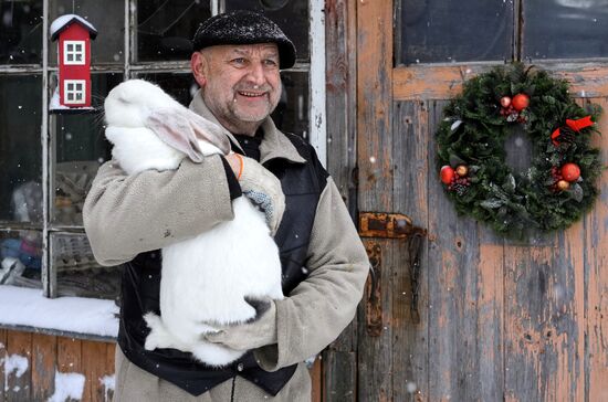 Russia Rabbit Breeding