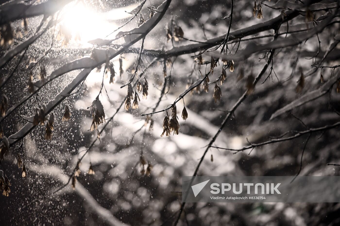 Russia Winter