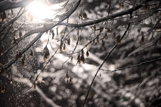 Russia Winter
