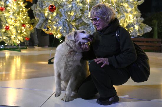 Russia Regions New Year Season Preparations