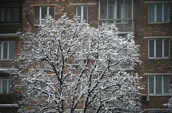 Russia Weather