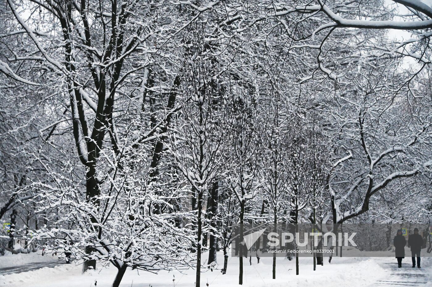Russia Weather