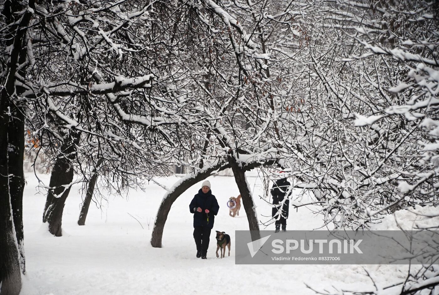 Russia Weather