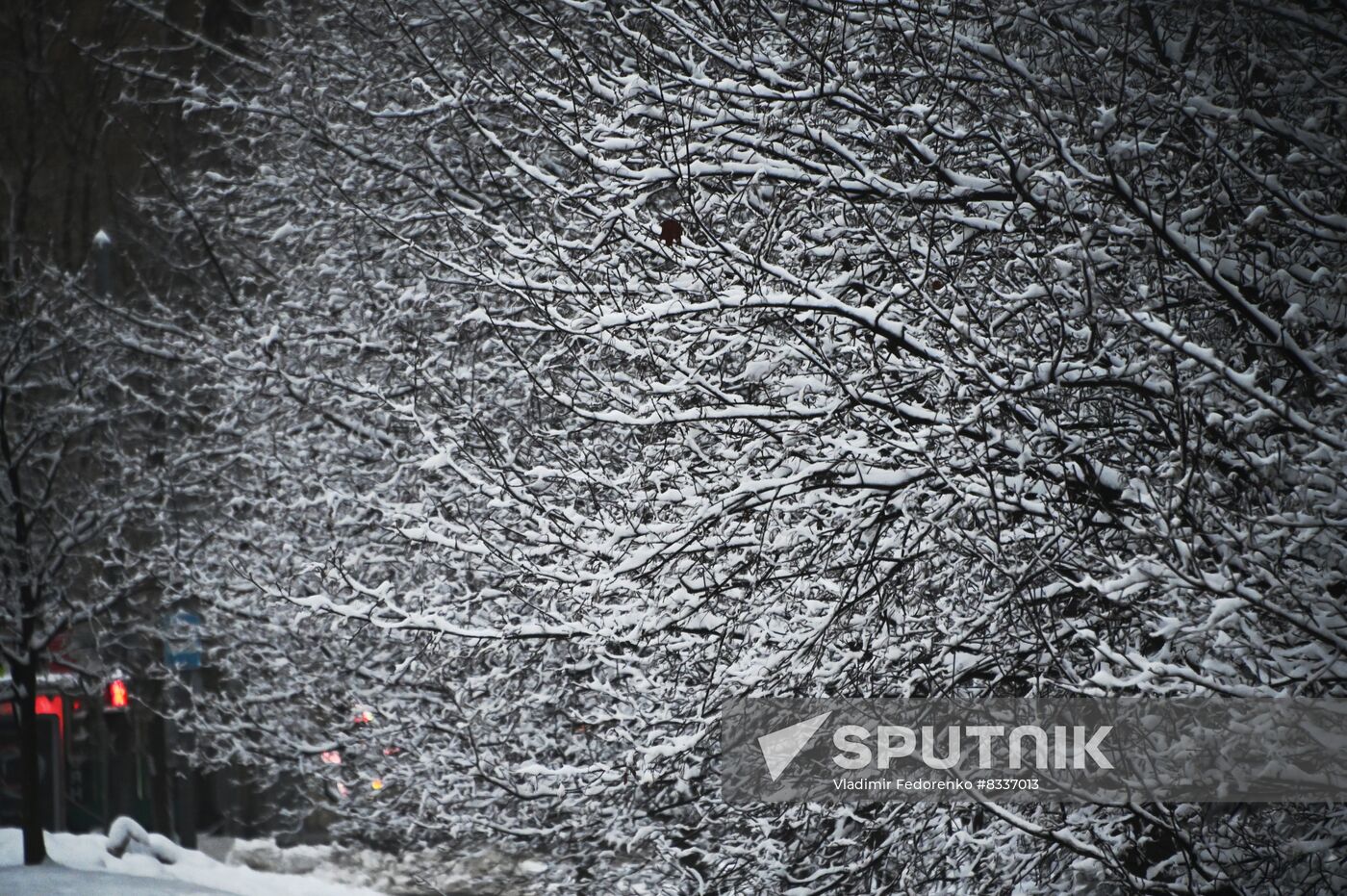 Russia Weather