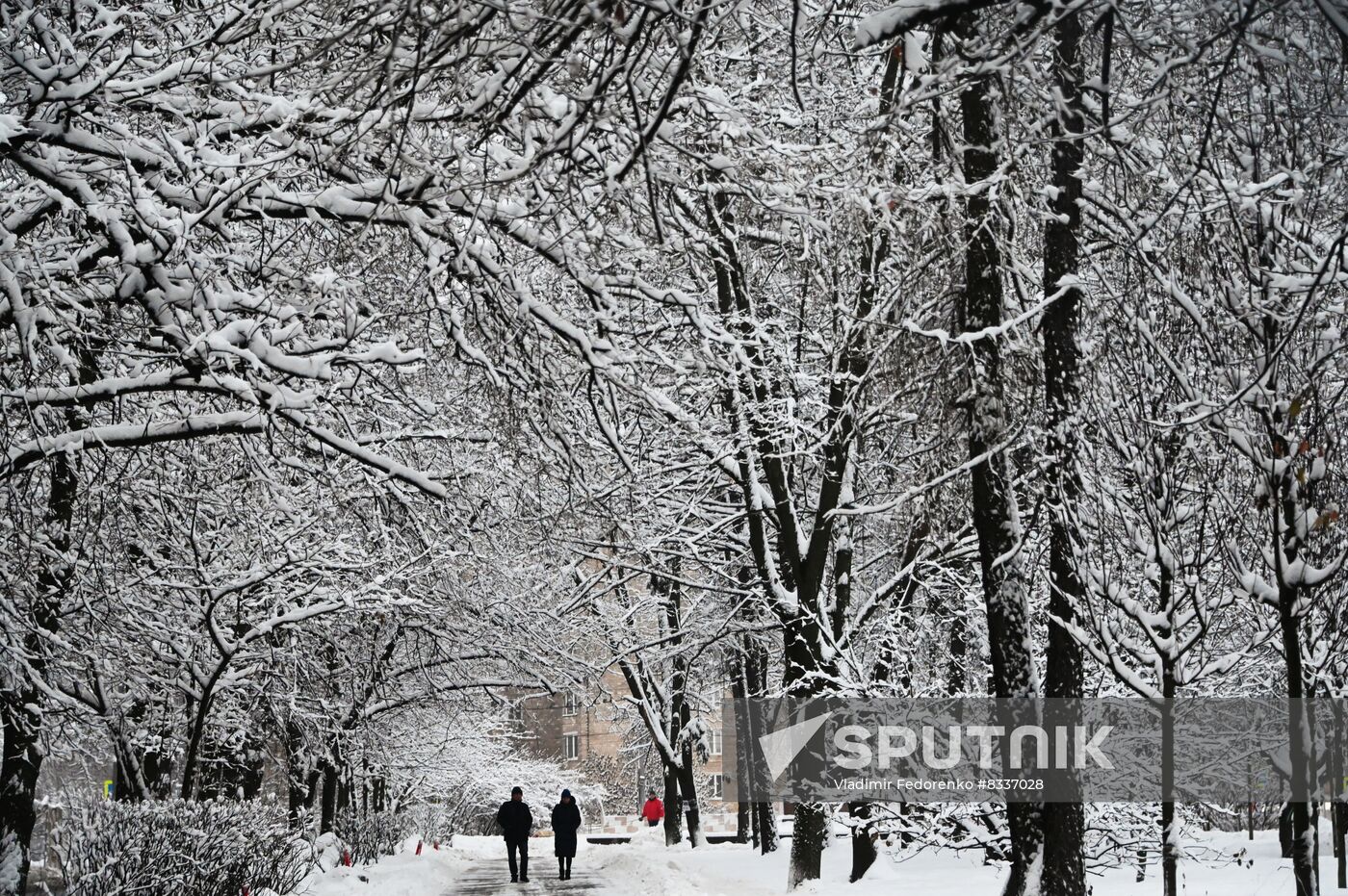 Russia Weather