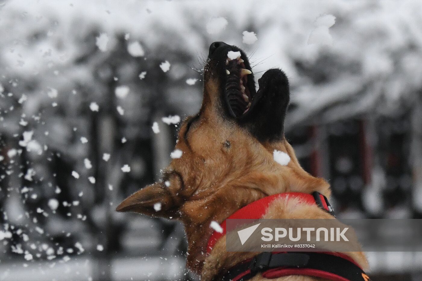 Russia Weather