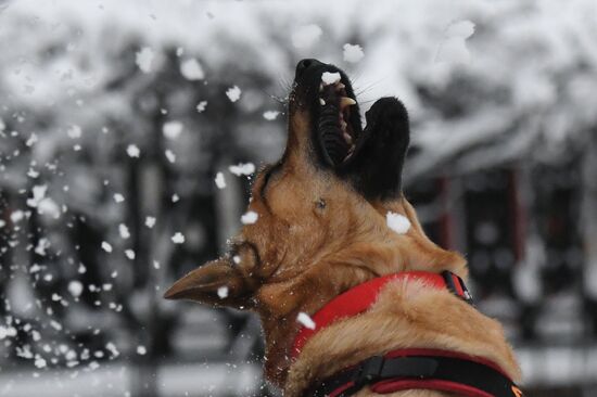 Russia Weather