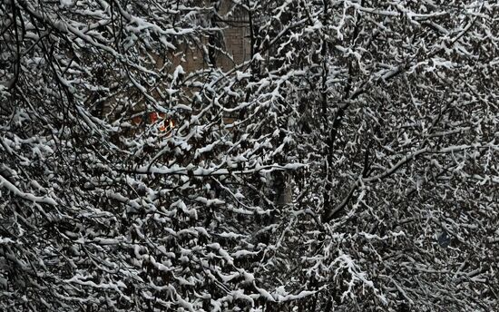 Russia Weather