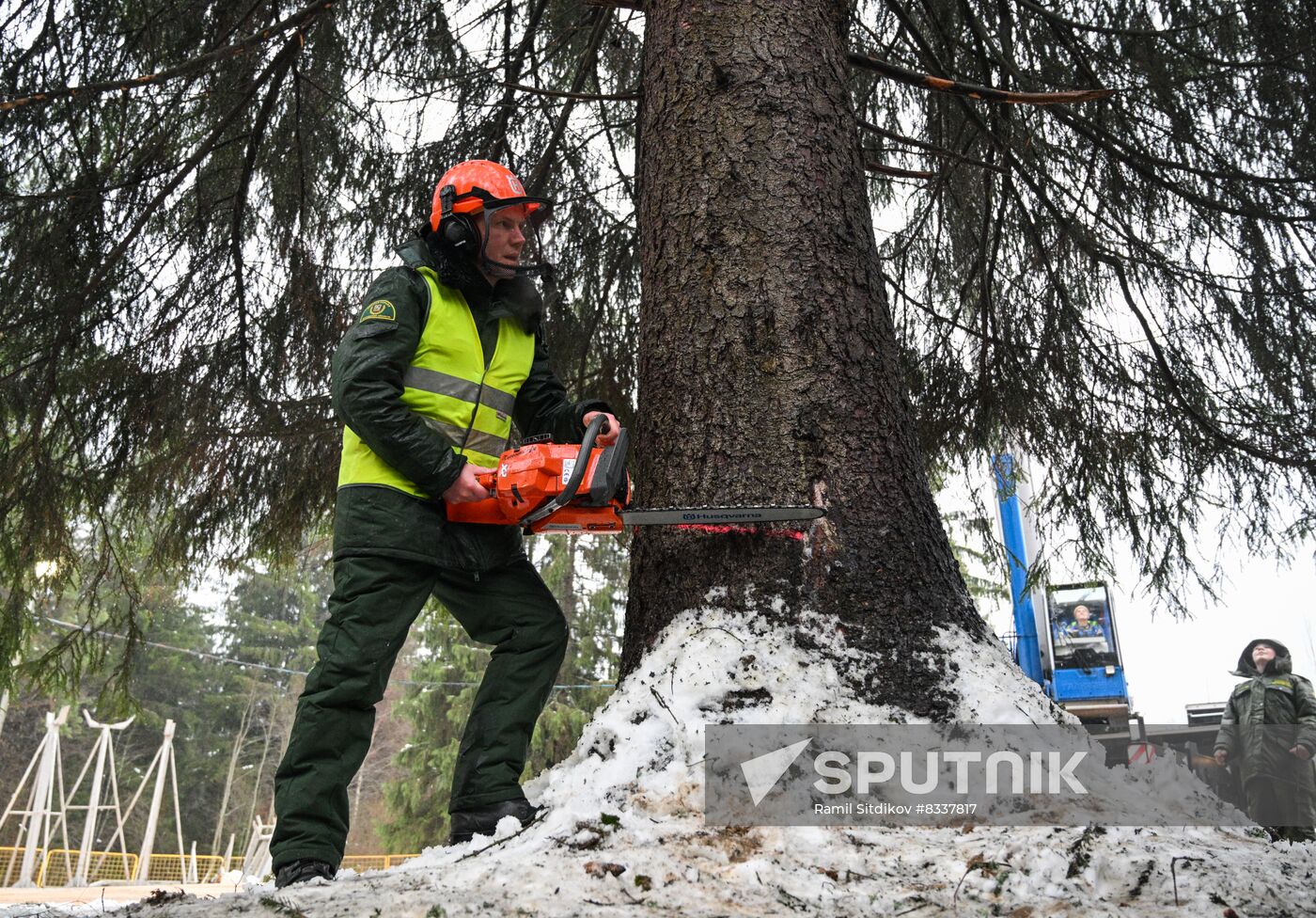 Russia New Year Festive Season Preparations