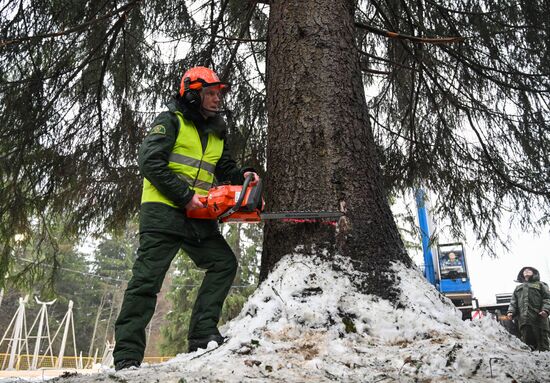 Russia New Year Festive Season Preparations