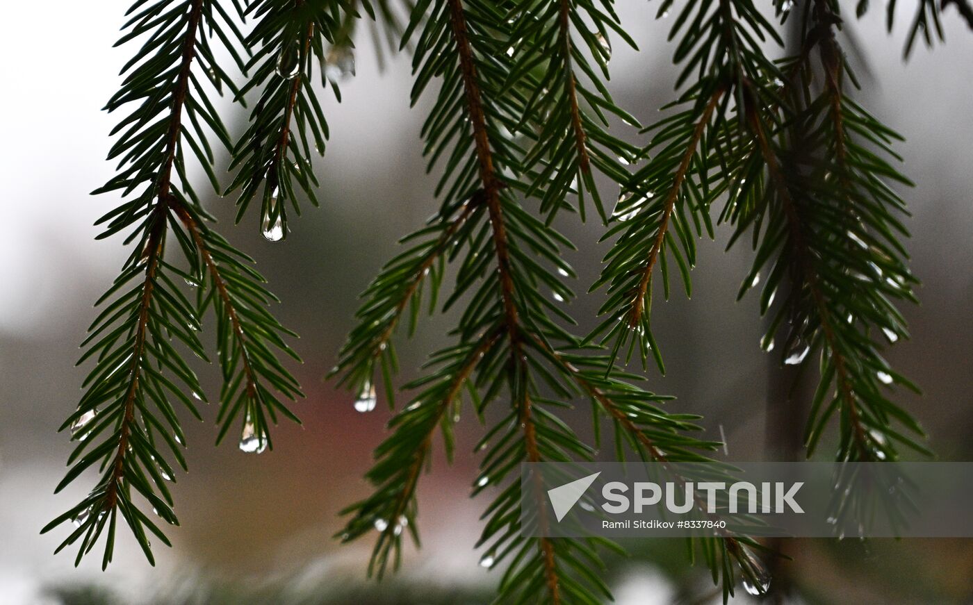 Russia New Year Festive Season Preparations