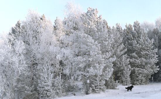 Russia Weather