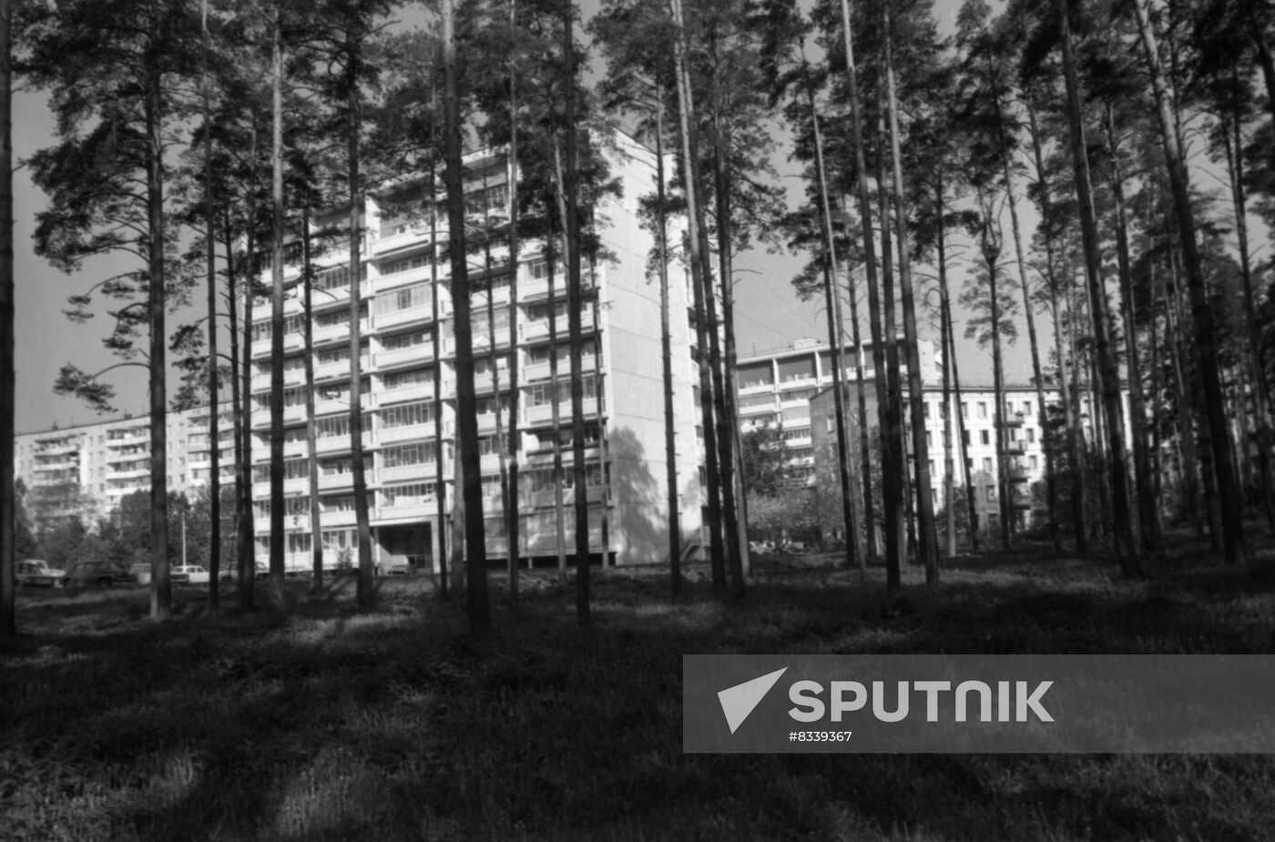 Zarechye State Farm in Moscow Region