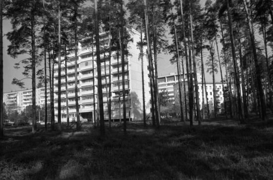 Zarechye State Farm in Moscow Region