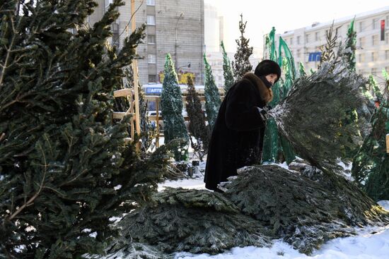 Russia New Year Season Preparations