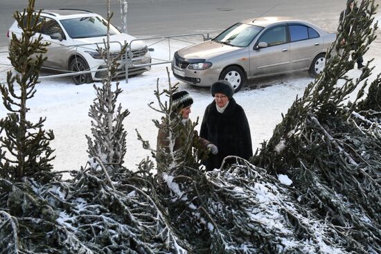 Russia New Year Season Preparations