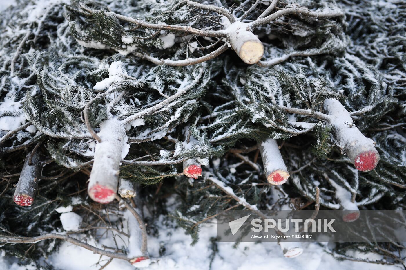 Russia New Year Season Preparations