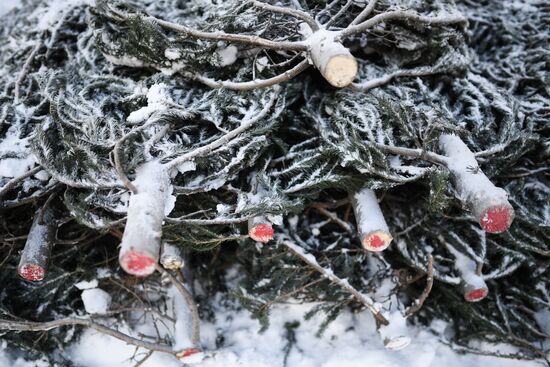 Russia New Year Season Preparations