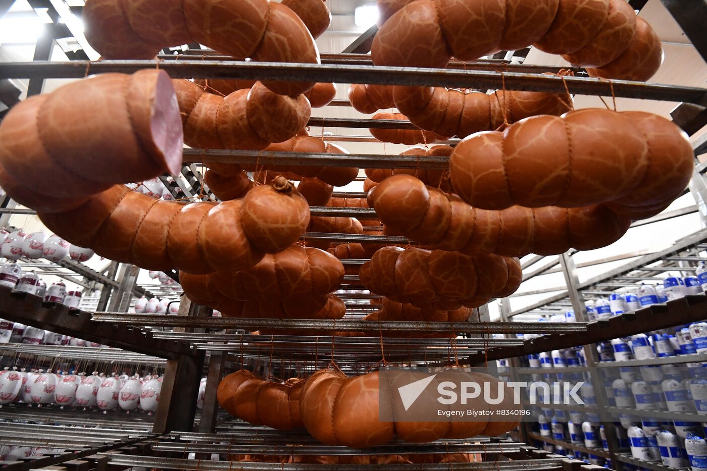 Russia Ukraine Military Operation Meat Processing Plant