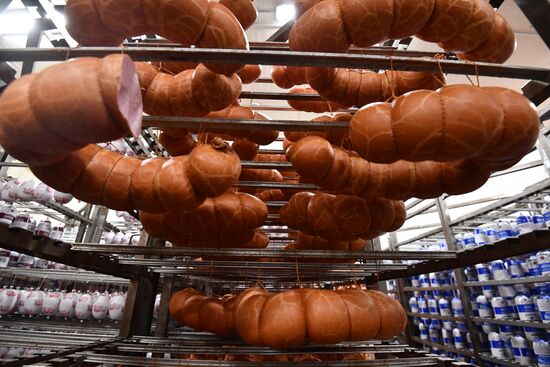 Russia Ukraine Military Operation Meat Processing Plant