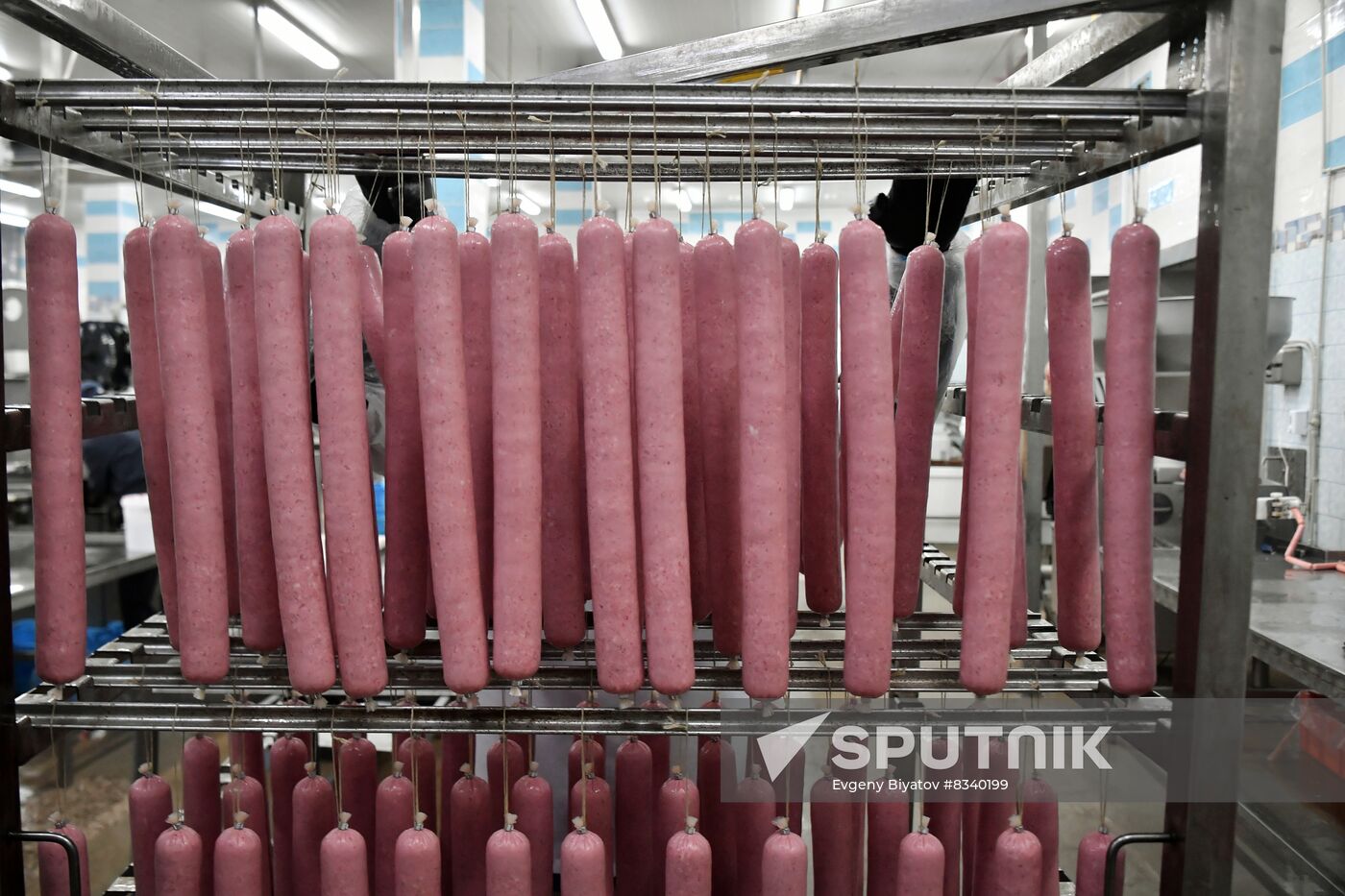 Russia Ukraine Military Operation Meat Processing Plant