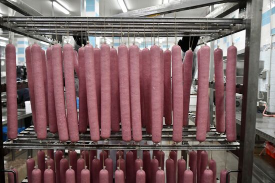 Russia Ukraine Military Operation Meat Processing Plant