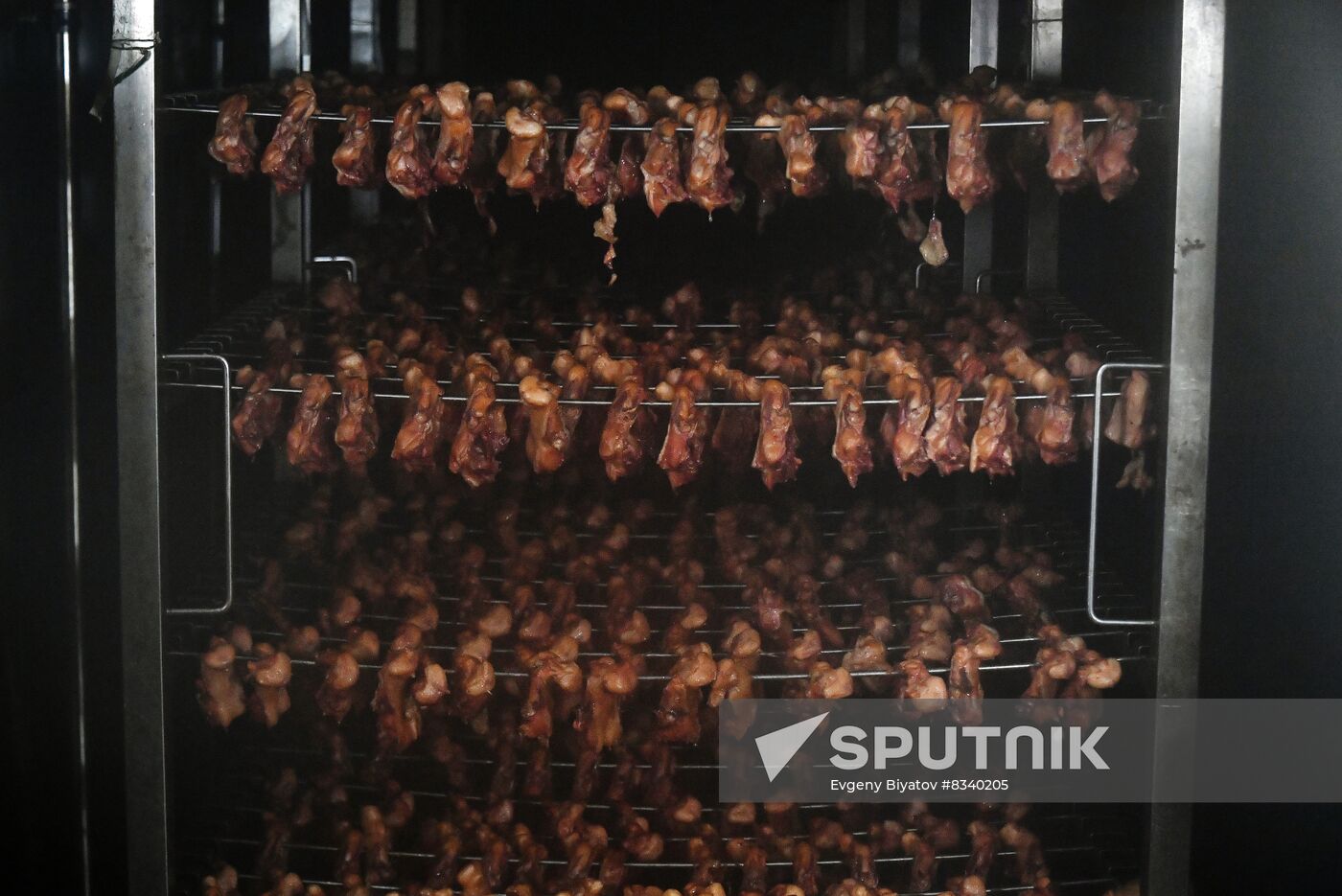 Russia Ukraine Military Operation Meat Processing Plant