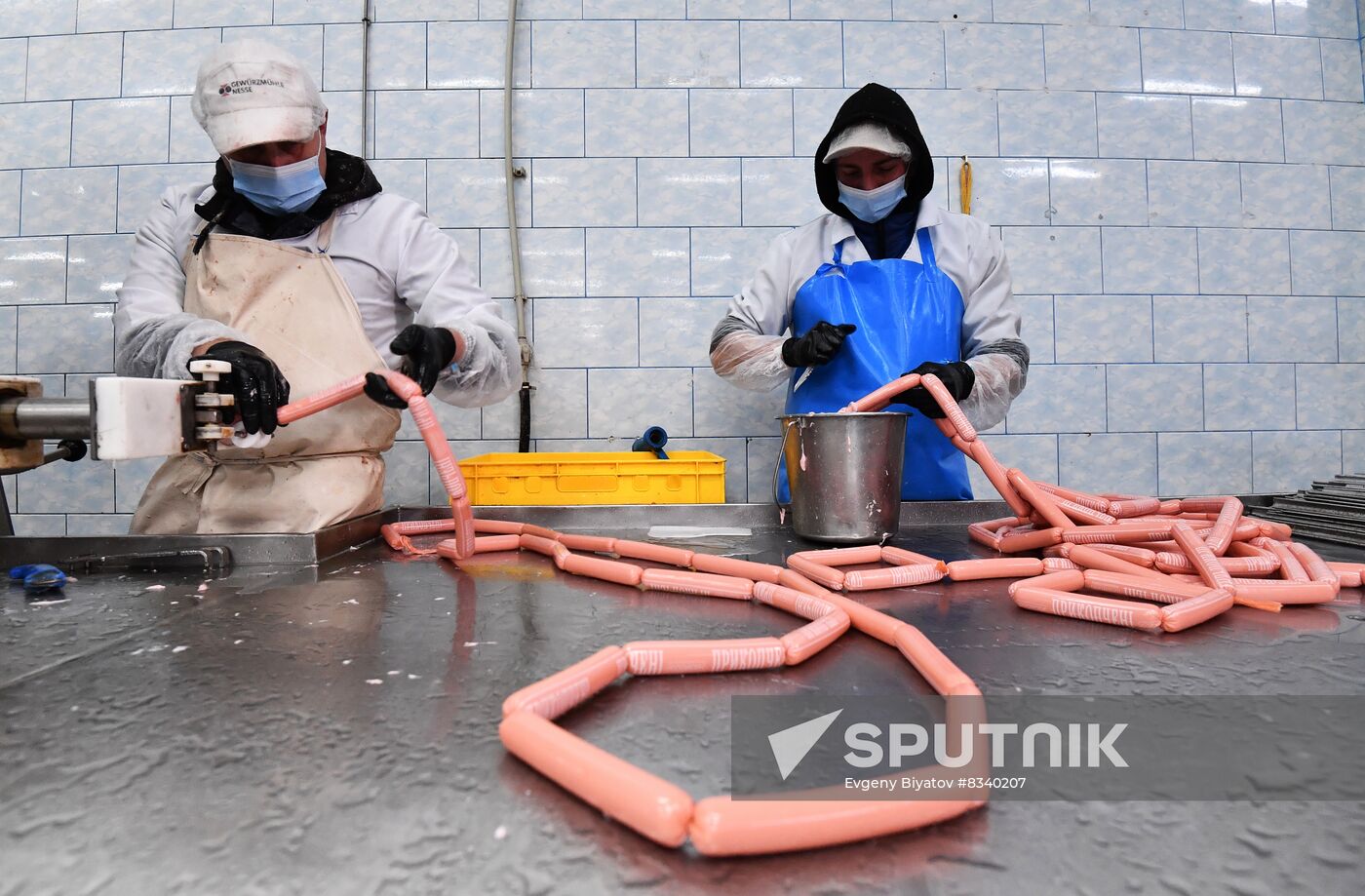 Russia Ukraine Military Operation Meat Processing Plant