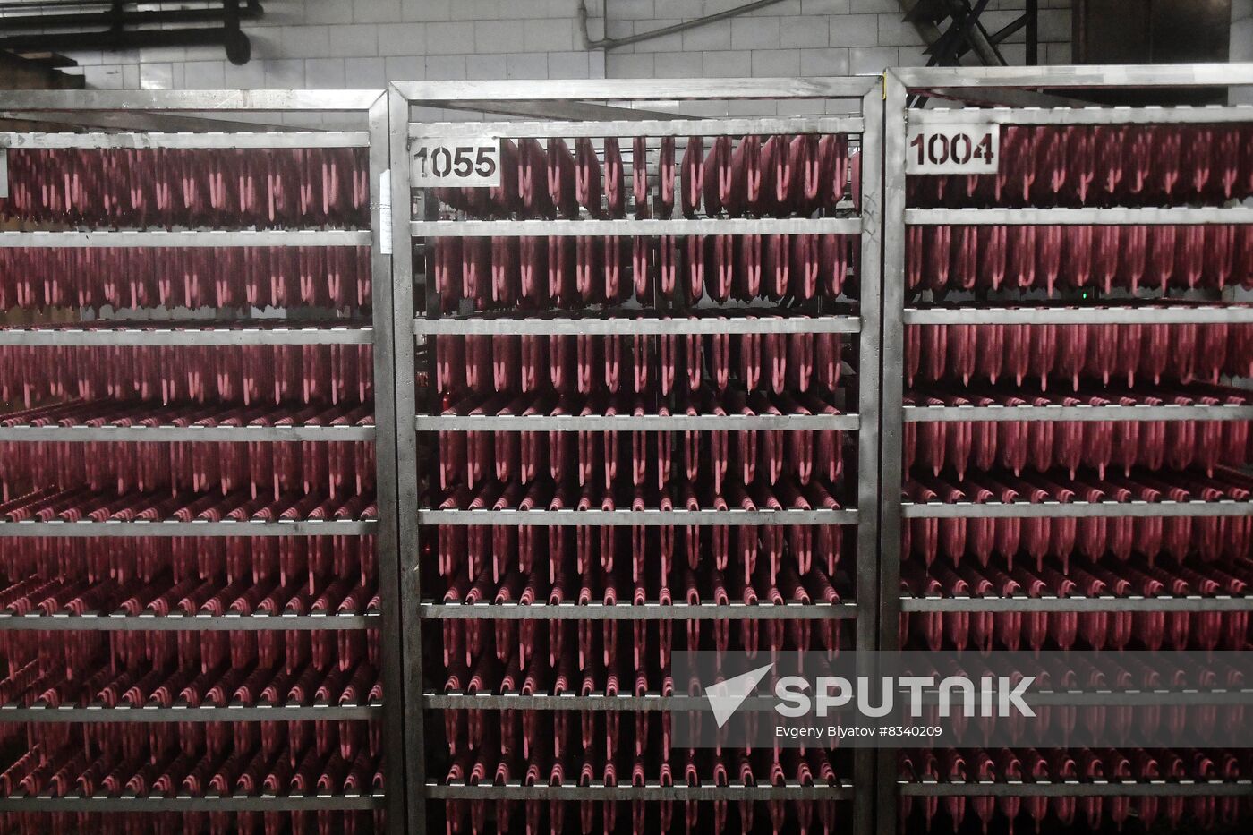 Russia Ukraine Military Operation Meat Processing Plant