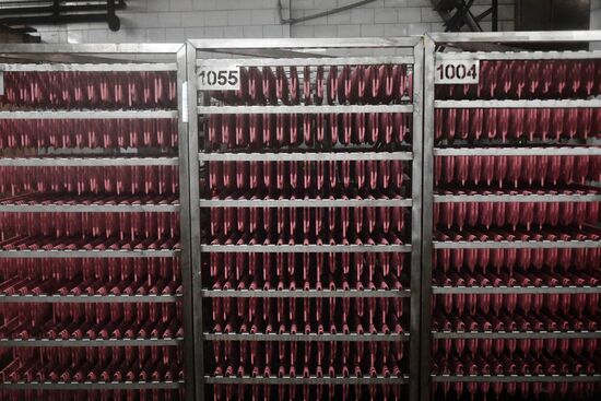 Russia Ukraine Military Operation Meat Processing Plant