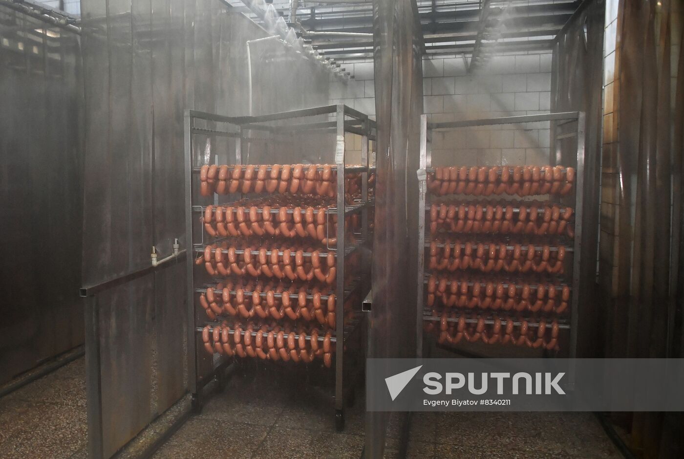 Russia Ukraine Military Operation Meat Processing Plant