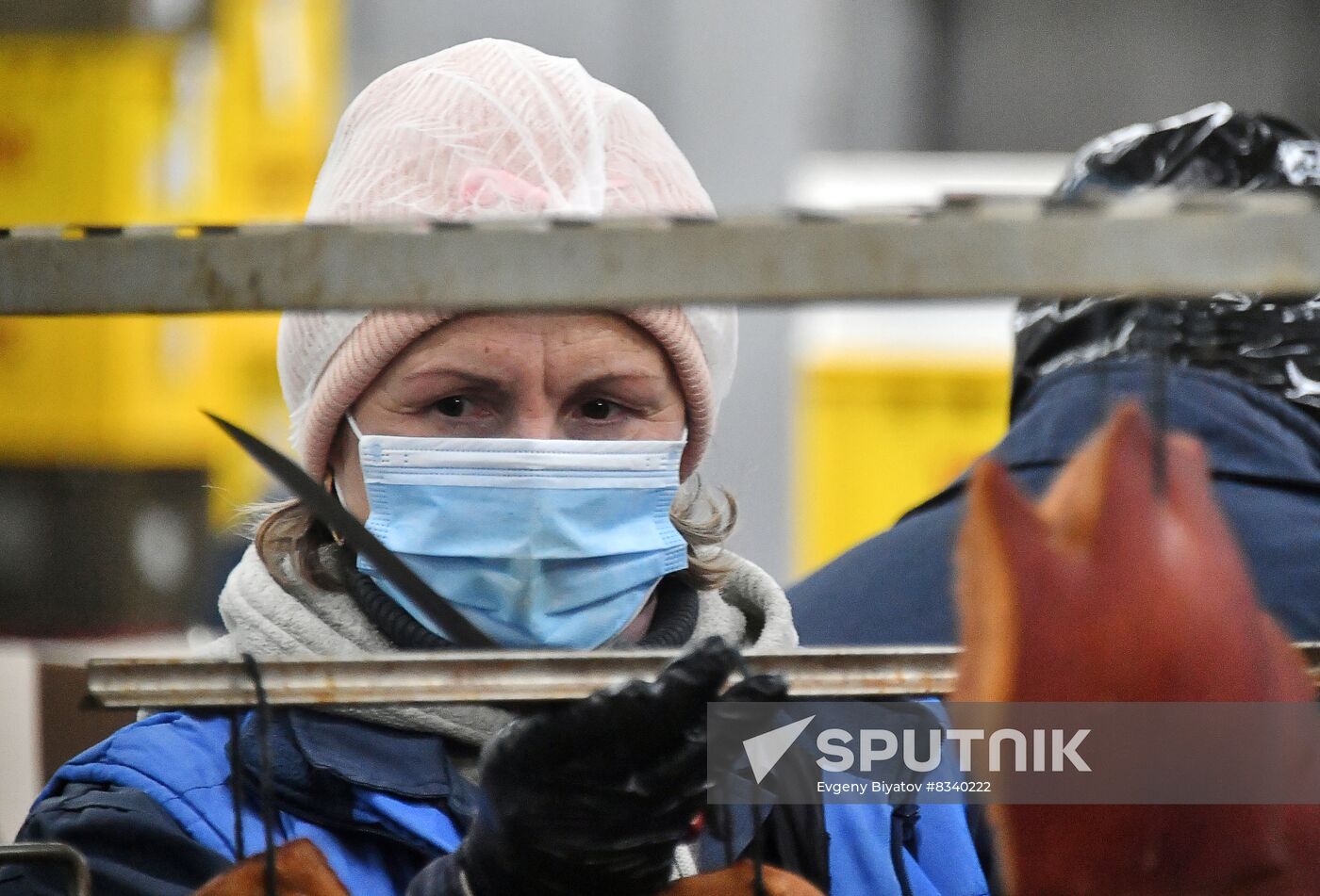 Russia Ukraine Military Operation Meat Processing Plant