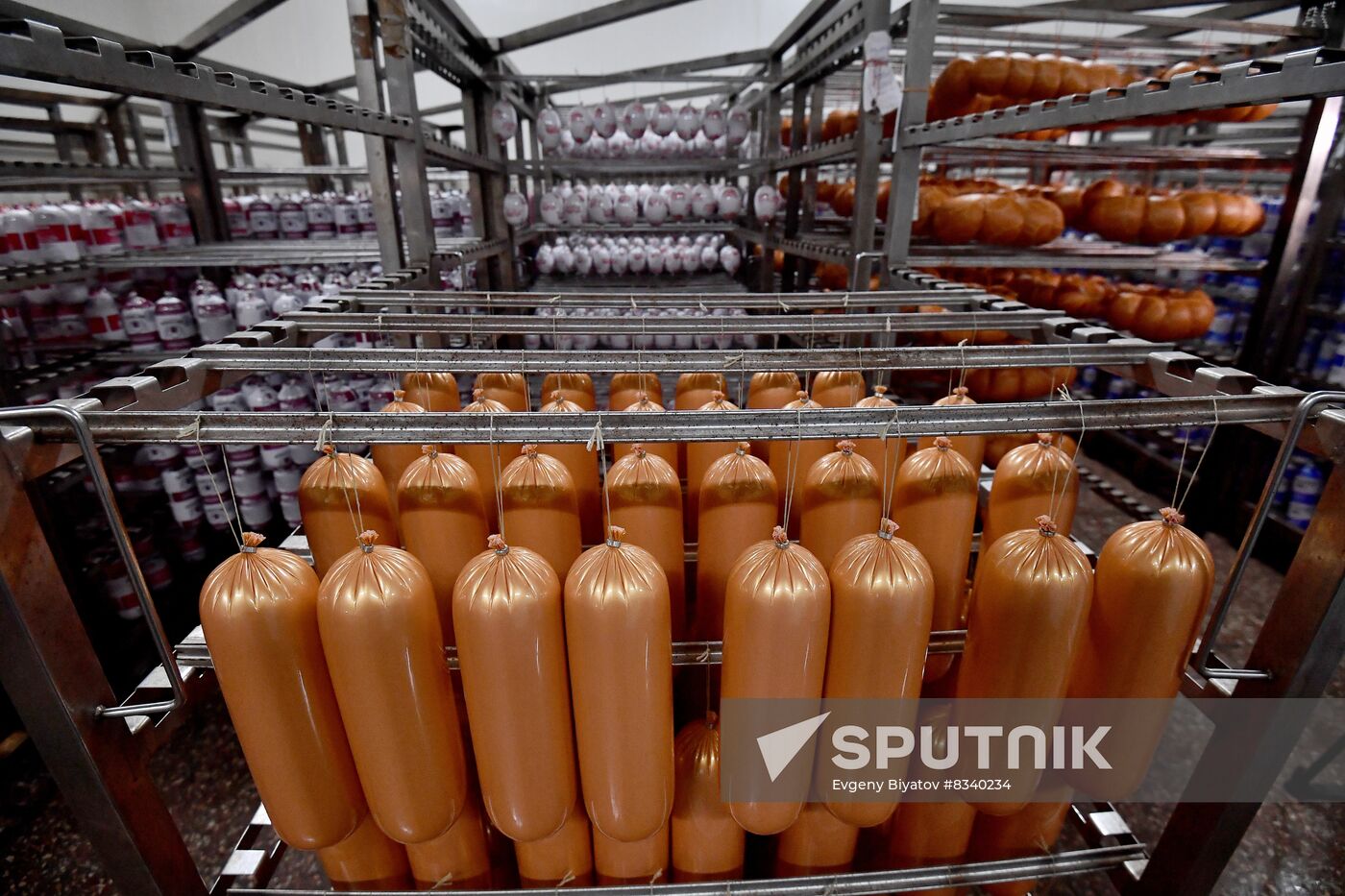 Russia Ukraine Military Operation Meat Processing Plant