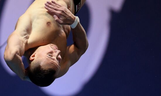 Russia Diving Solidarity Games