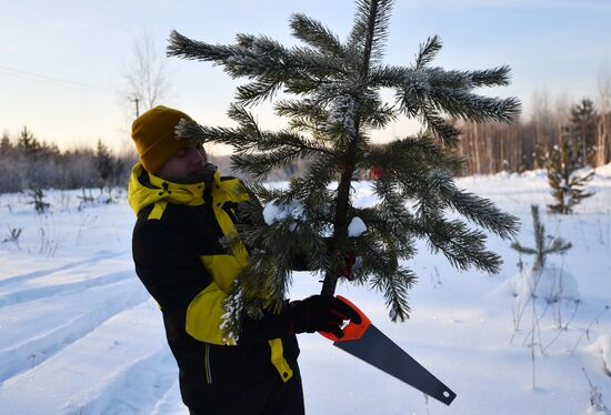 Russia New Year Season Preparations