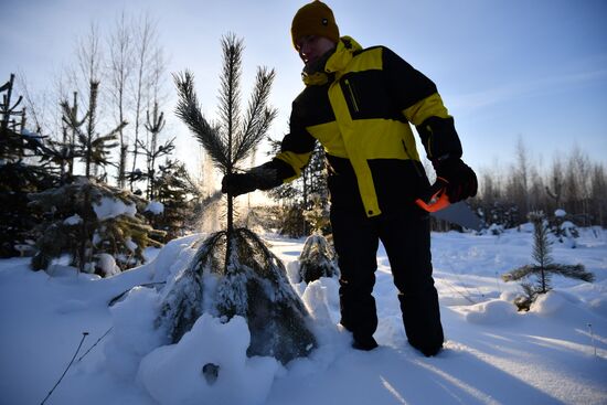 Russia New Year Season Preparations