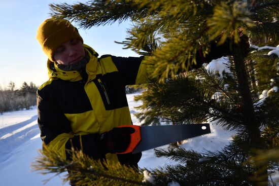 Russia New Year Season Preparations