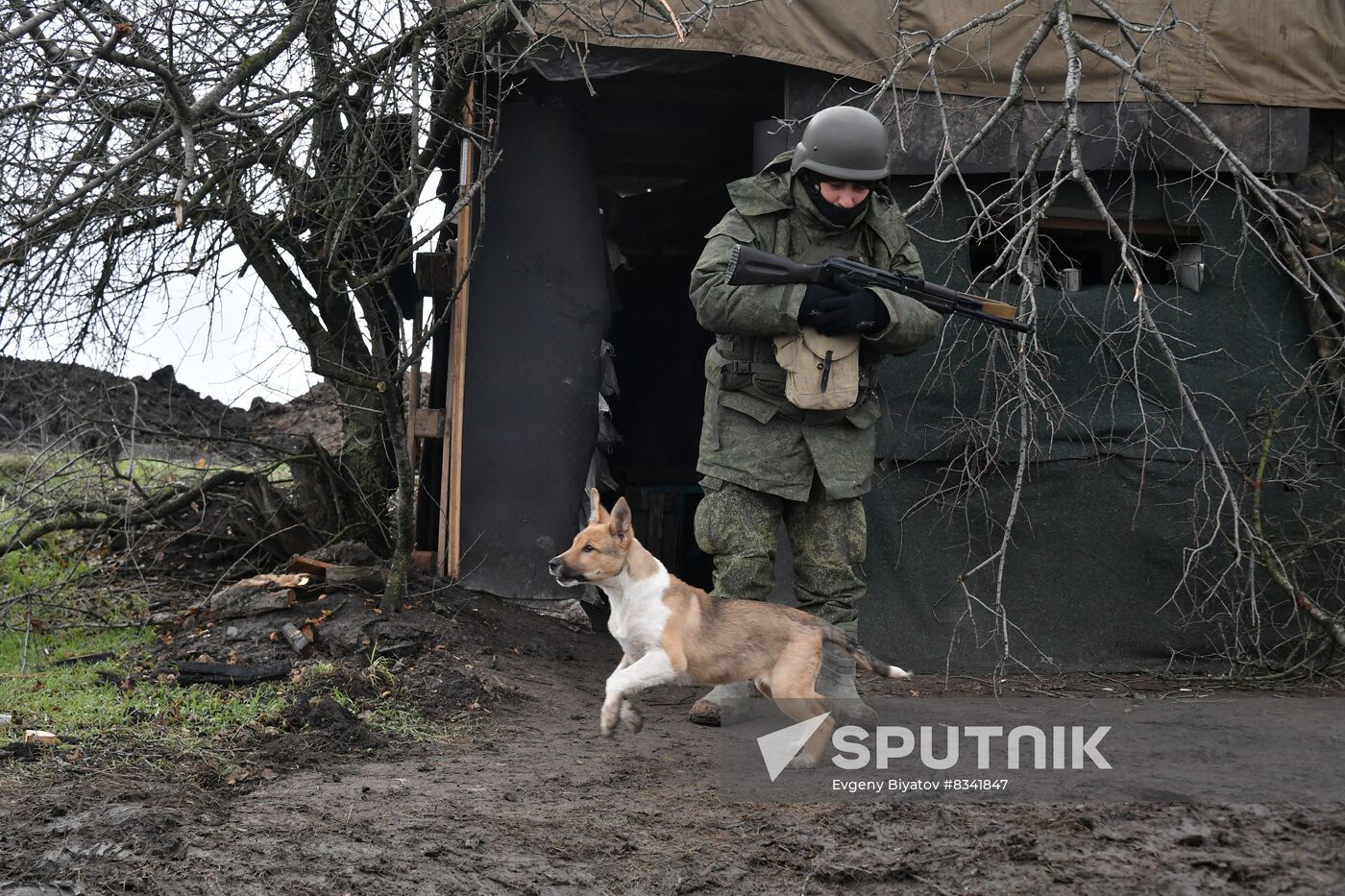 Russia Ukraine Military Operation Training