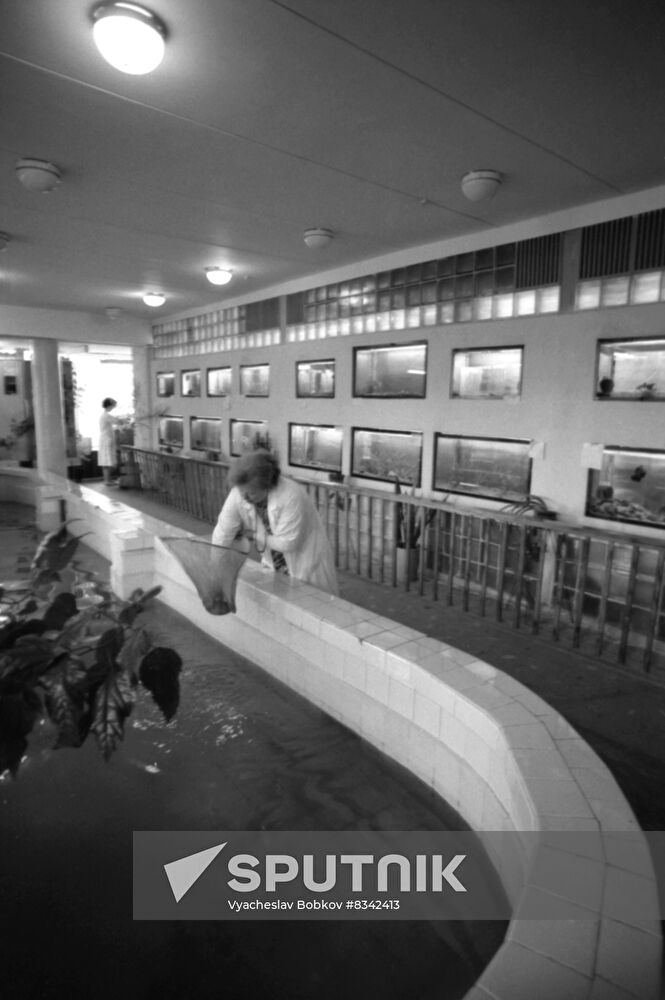 Karelrybvod's fish farm