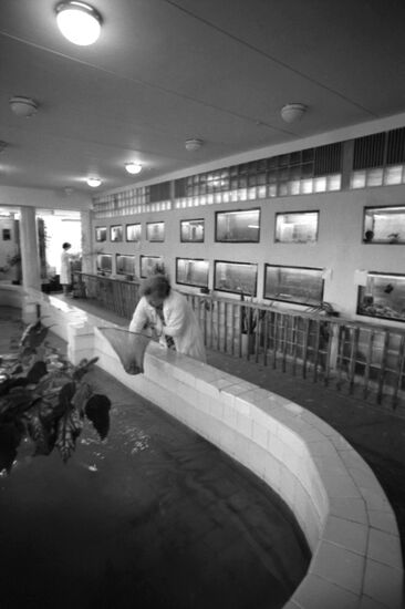 Karelrybvod's fish farm