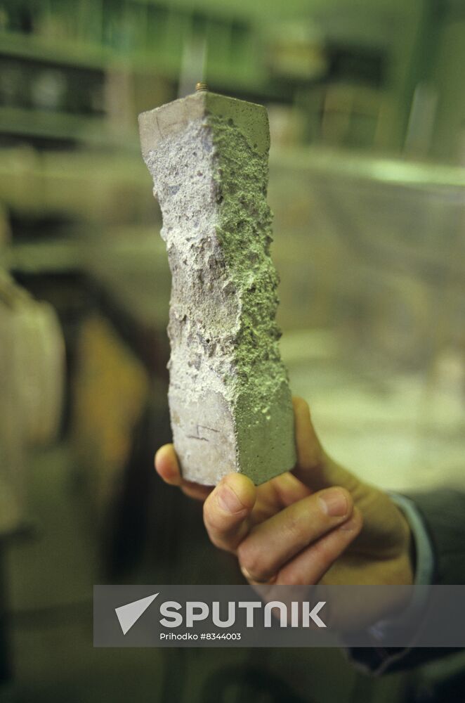 Research, Design and Technological Institute of Concrete and Reinforced Concrete (NIIZHB)