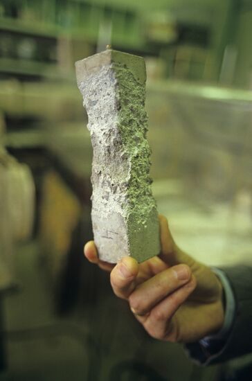 Research, Design and Technological Institute of Concrete and Reinforced Concrete (NIIZHB)