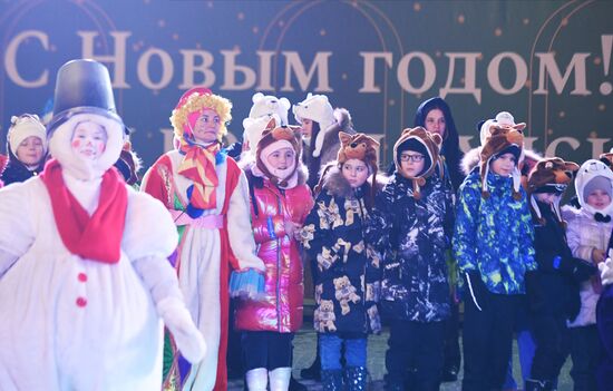 Russia New Year Season Fair