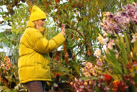 Russia Orchid Festival