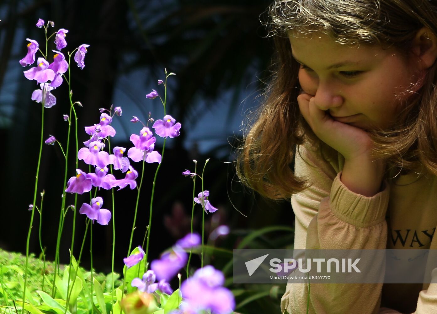 Russia Orchid Festival