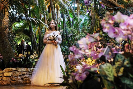 Russia Orchid Festival